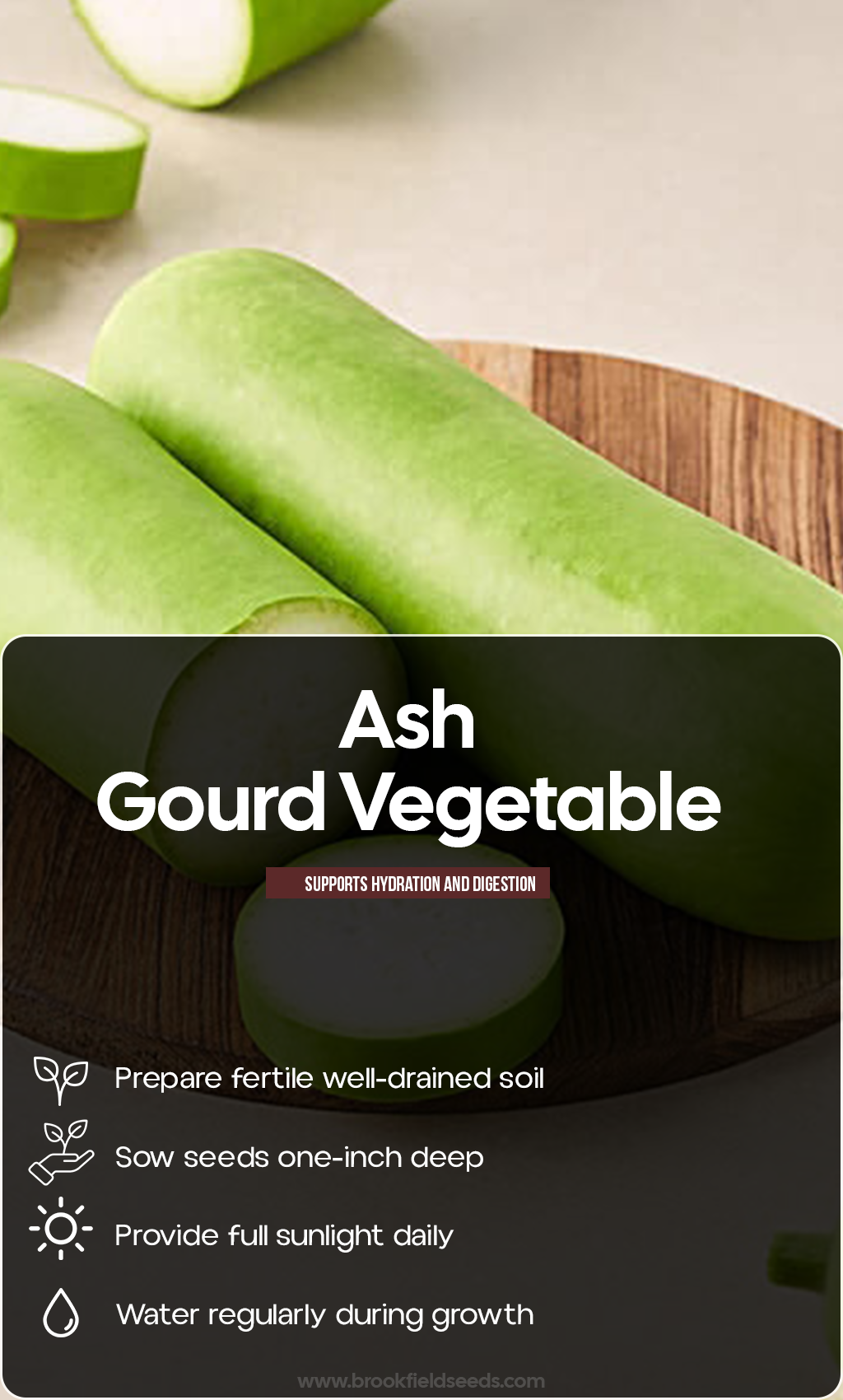 Grow Something Refreshing This Summer: Ash Gourd Seeds for a Beautiful Home Harvest