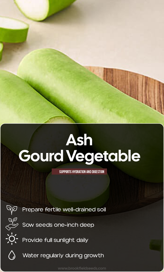 Grow Something Refreshing This Summer: Ash Gourd Seeds for a Beautiful Home Harvest