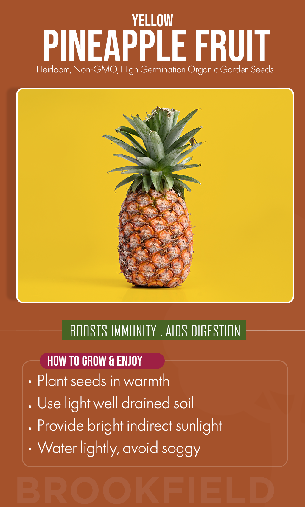 Semillas de Piña Amarilla USA | Semillas de Piña Orgánicas Cimarrón No ...