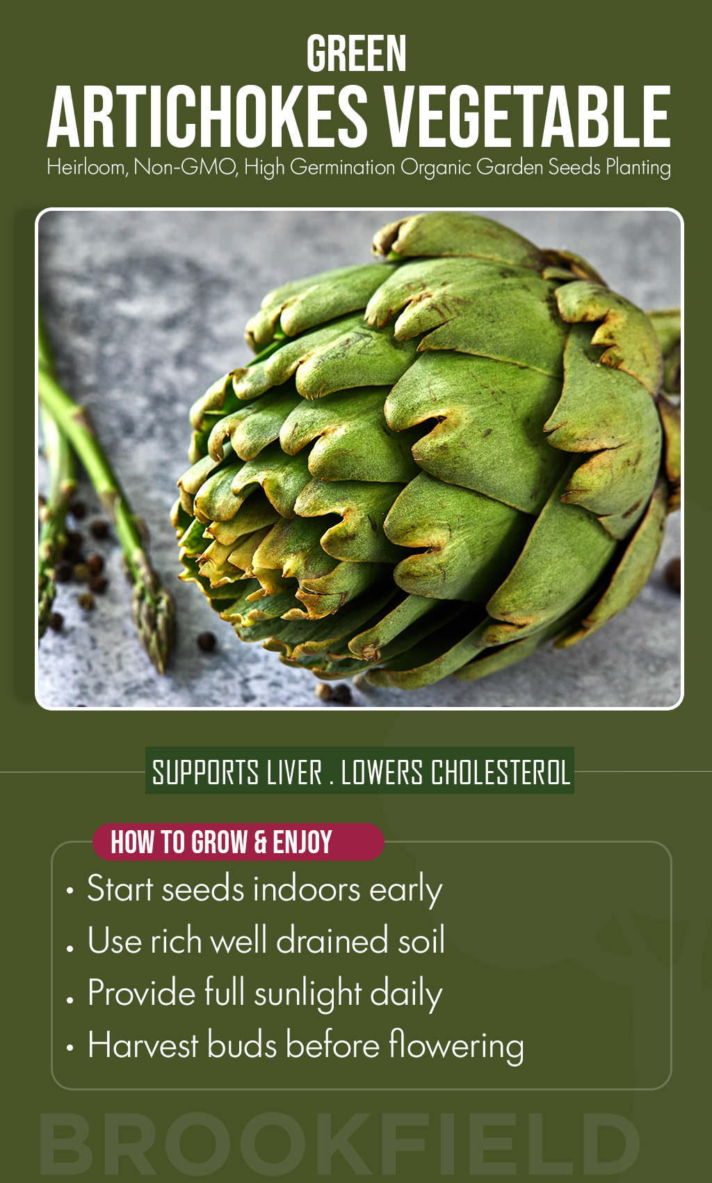 Grow Fresh, Eat Better: Plant Green Artichokes for a Thriving Summer Garden