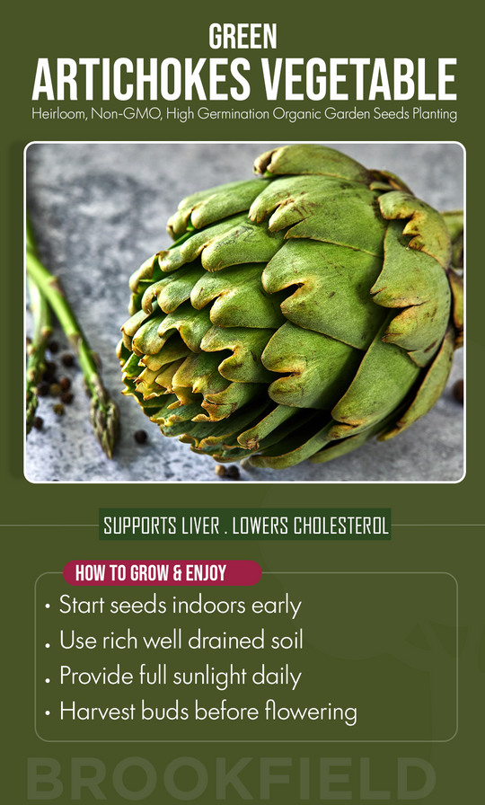 Grow Fresh, Eat Better: Plant Green Artichokes for a Thriving Summer Garden