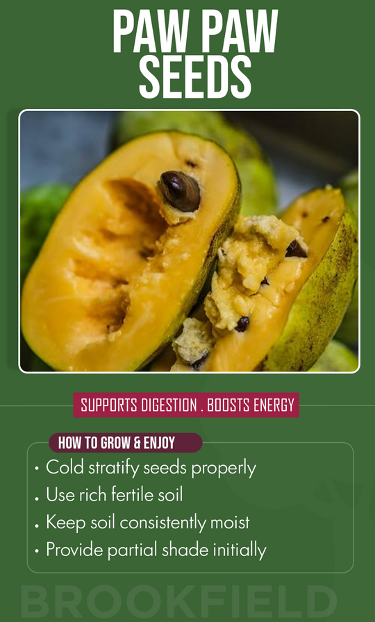 Grow a Forgotten American Treasure: Paw Paw Seeds for a Sweet Summer Harvest
