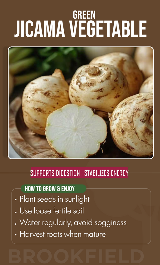 Crunch Into Summer Freshness: Grow Green Jicama for a Naturally Sweet Harvest