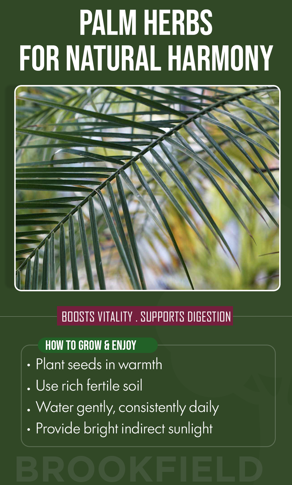 Create Your Own Tropical Paradise: Grow Palm Trees From Seed This Summer