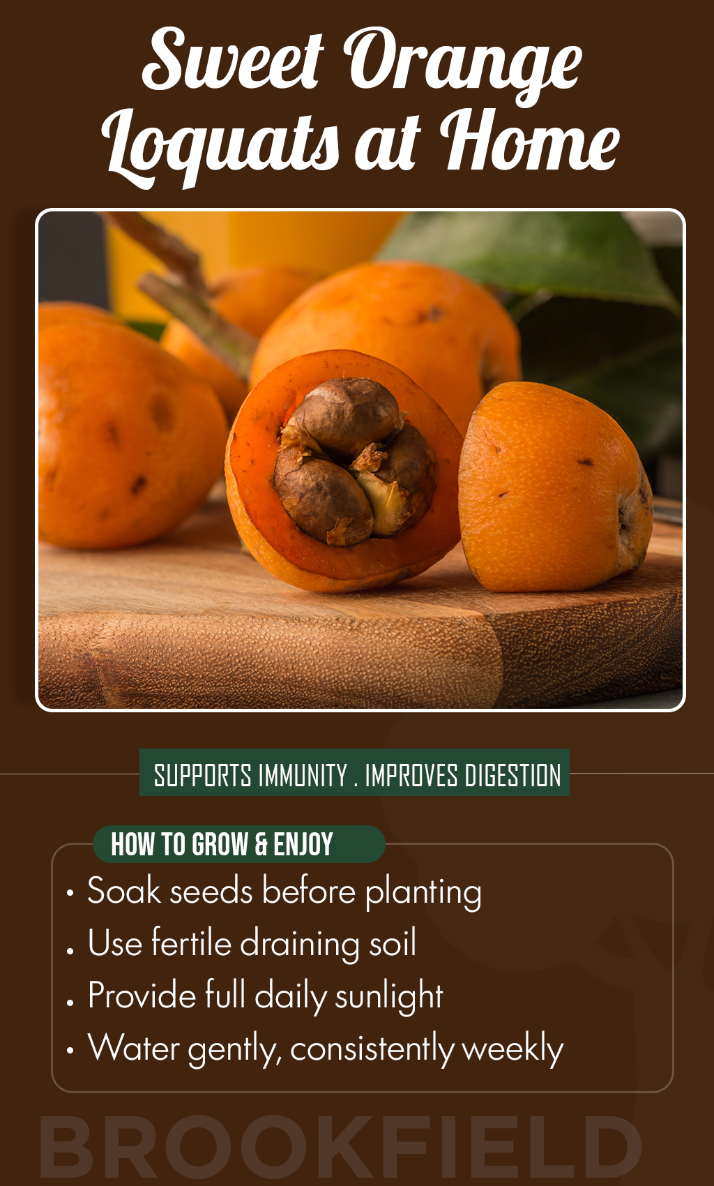 Grow Golden Summer Harvests: Orange Loquat Nisperos Seeds for a Sweet and Thriving Home Garden