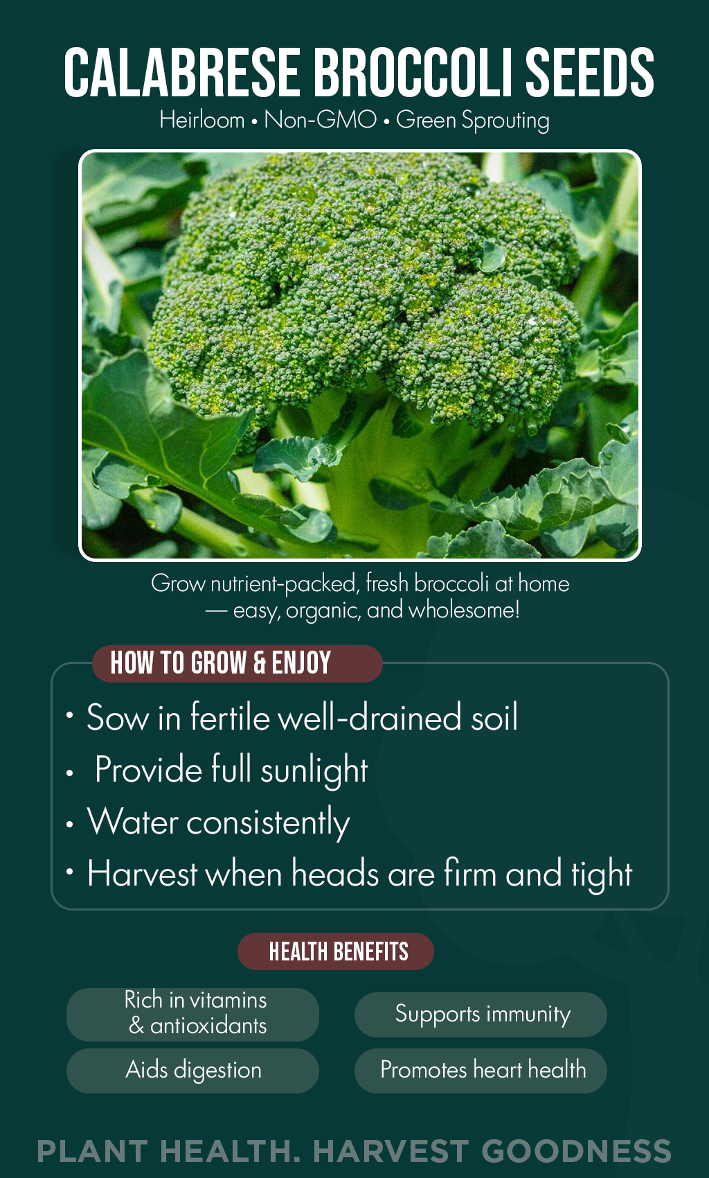 Grow Fresh Health at Home: Plant Green Broccoli Seeds for a Thriving Winter Garden