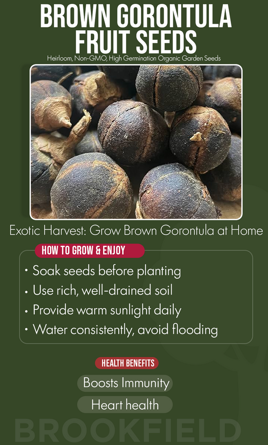 Discover a Hidden Superfruit: Grow Brown Gorontula Seeds in Your Winter Garden