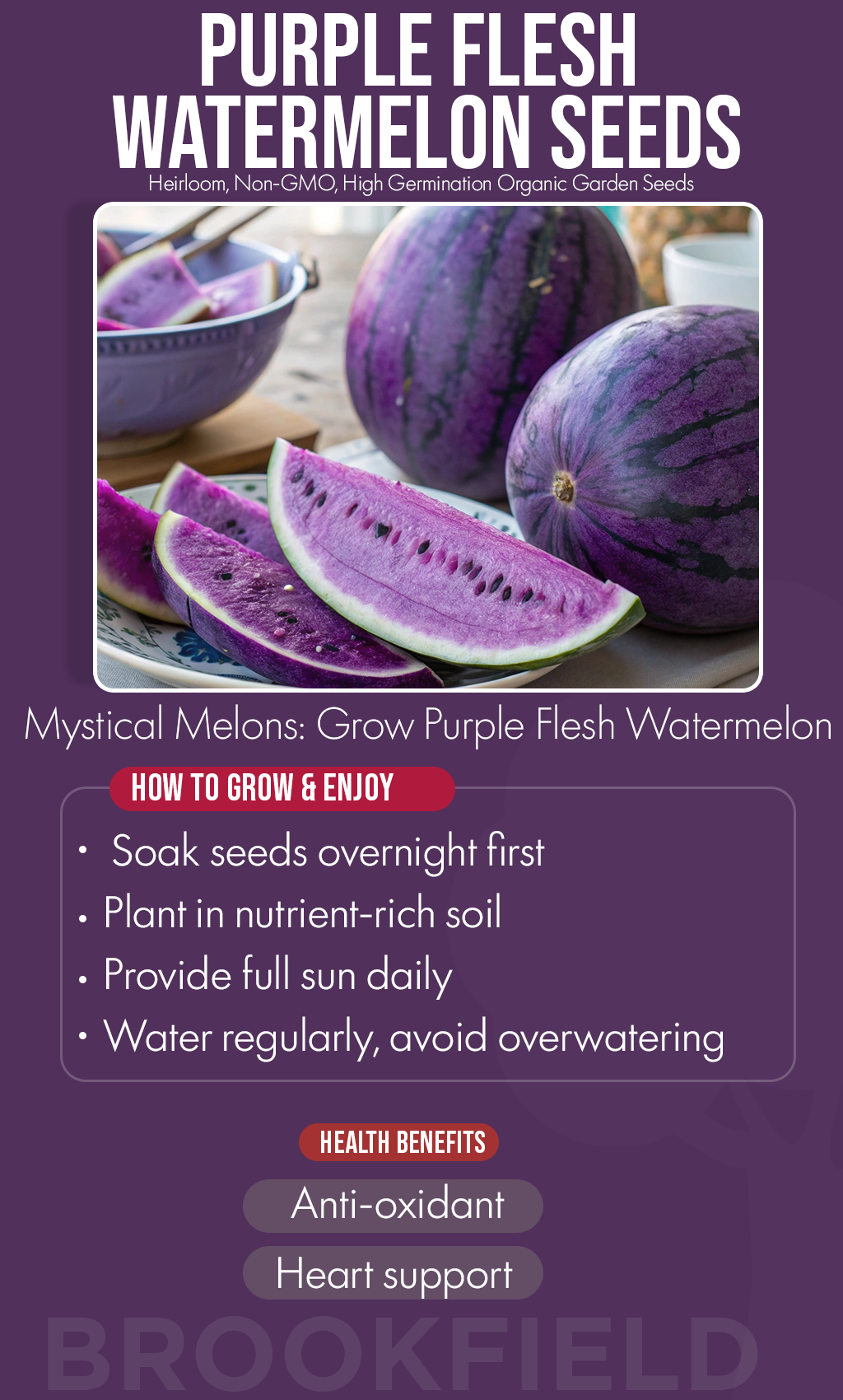 A Splash of Color in Winter: Grow Rare Purple Flesh Watermelons at Home