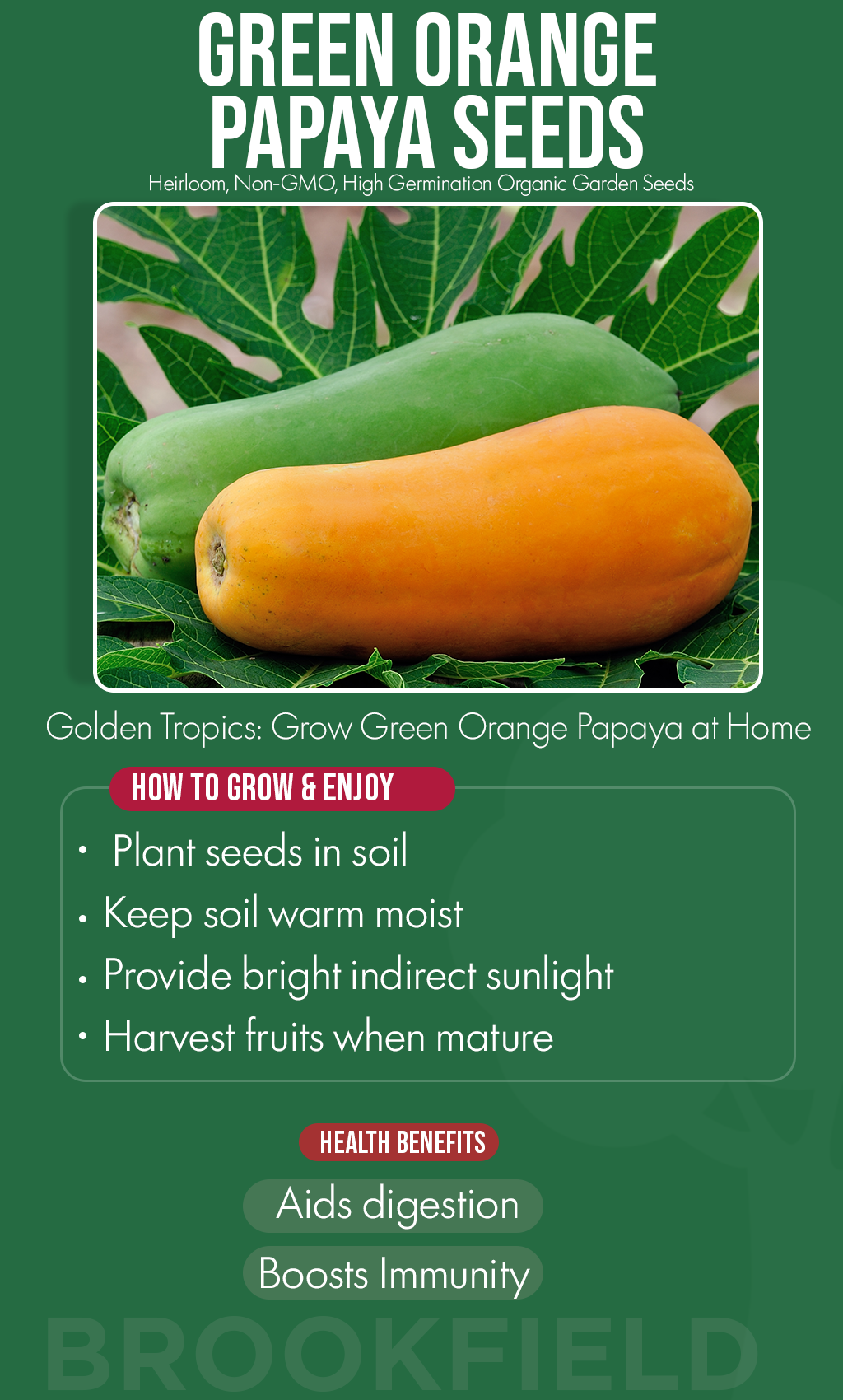 Bring Tropical Warmth to Winter: Grow Green Orange Papaya at Home