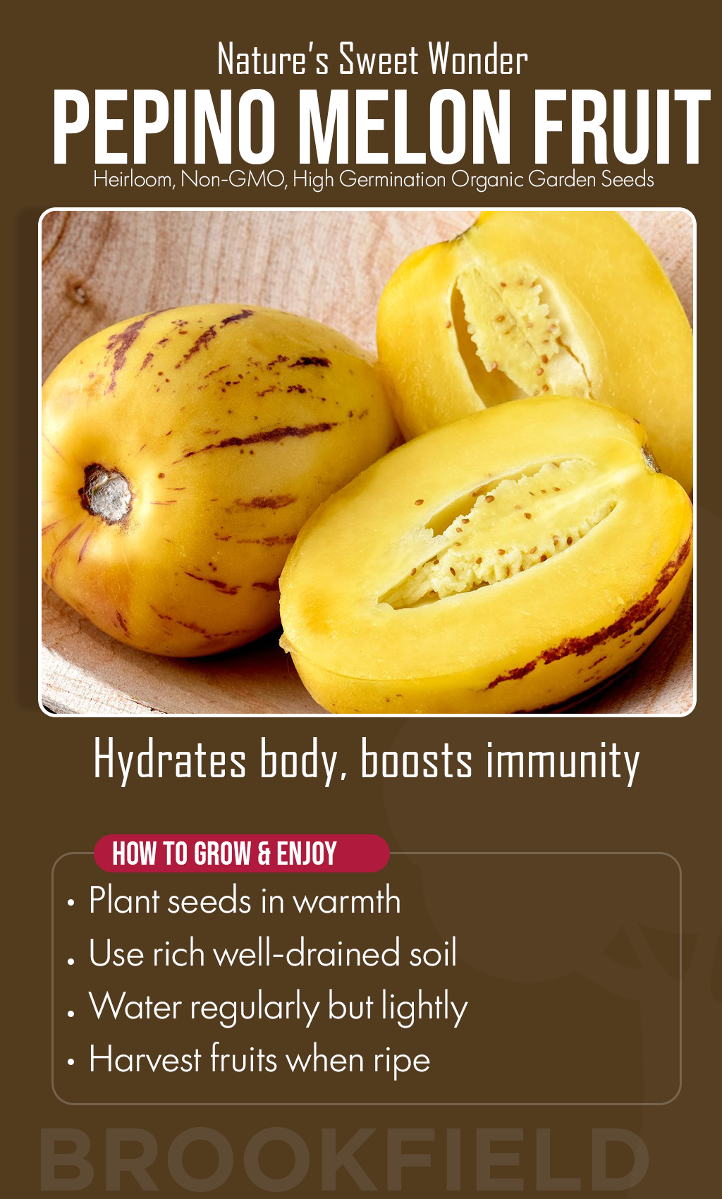 Bring Sweet Sunshine to Winter: Grow Pepino Melon at Home