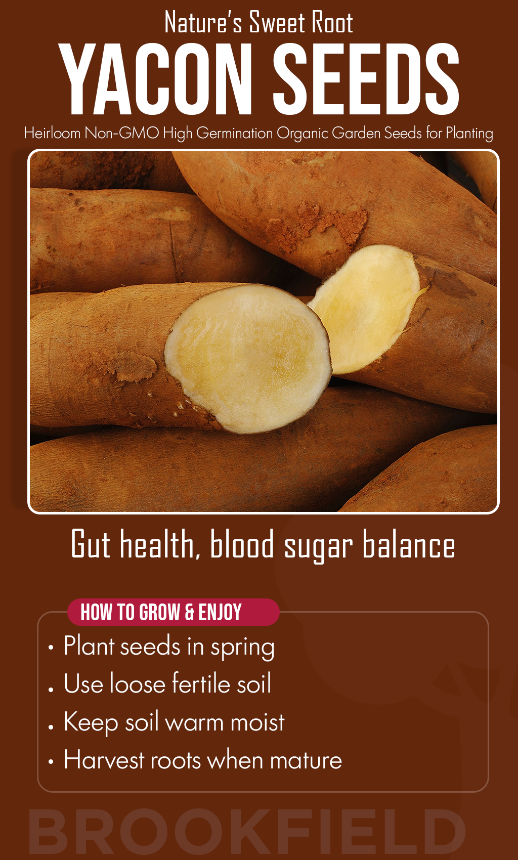 Grow Sweet Wellness This Winter: Discover the Power of Yacon Seeds