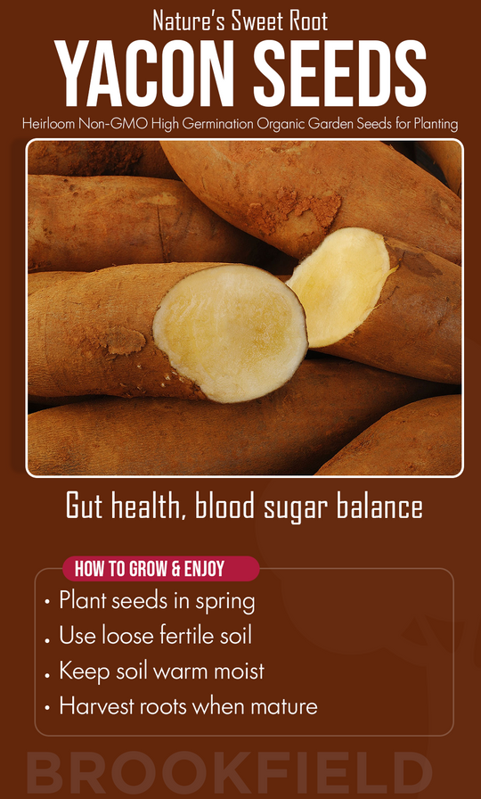 Grow Sweet Wellness This Winter: Discover the Power of Yacon Seeds