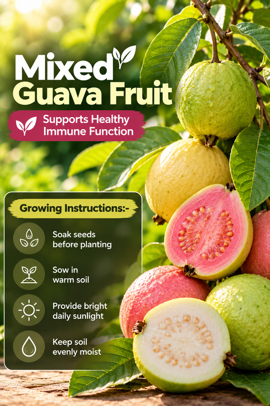 Grow a Little Tropical Paradise: Mixed Guava Fruit Seeds for Sweet Summer Harvests