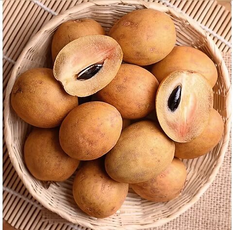 sapota fruit seeds