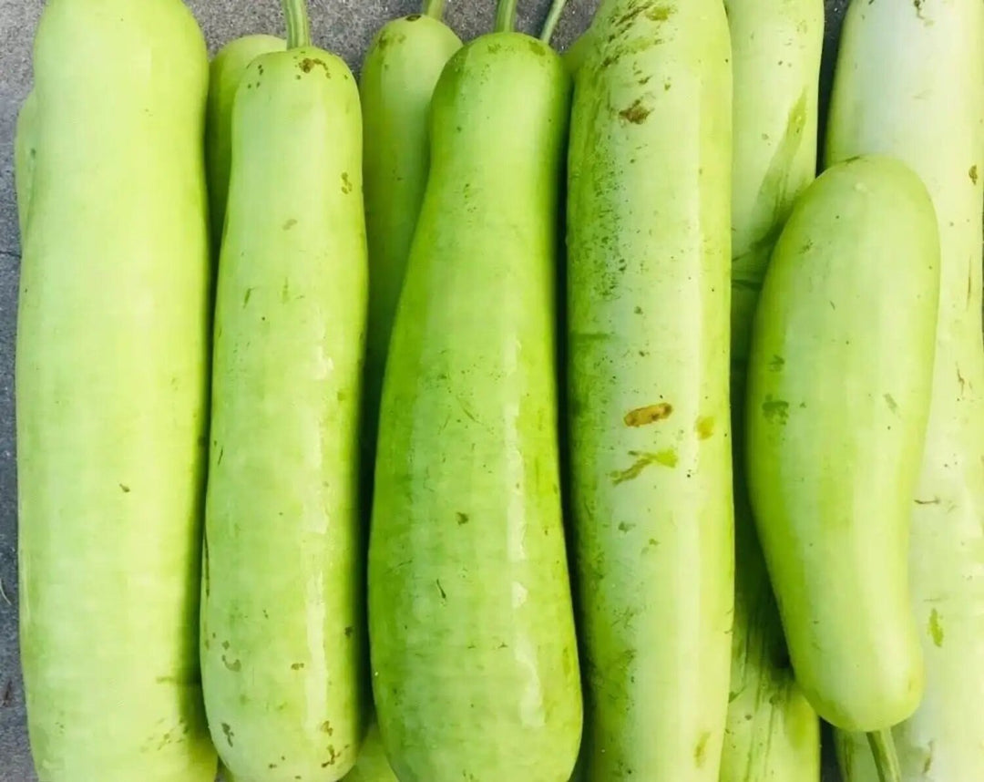 Gourd Vegetable Seeds