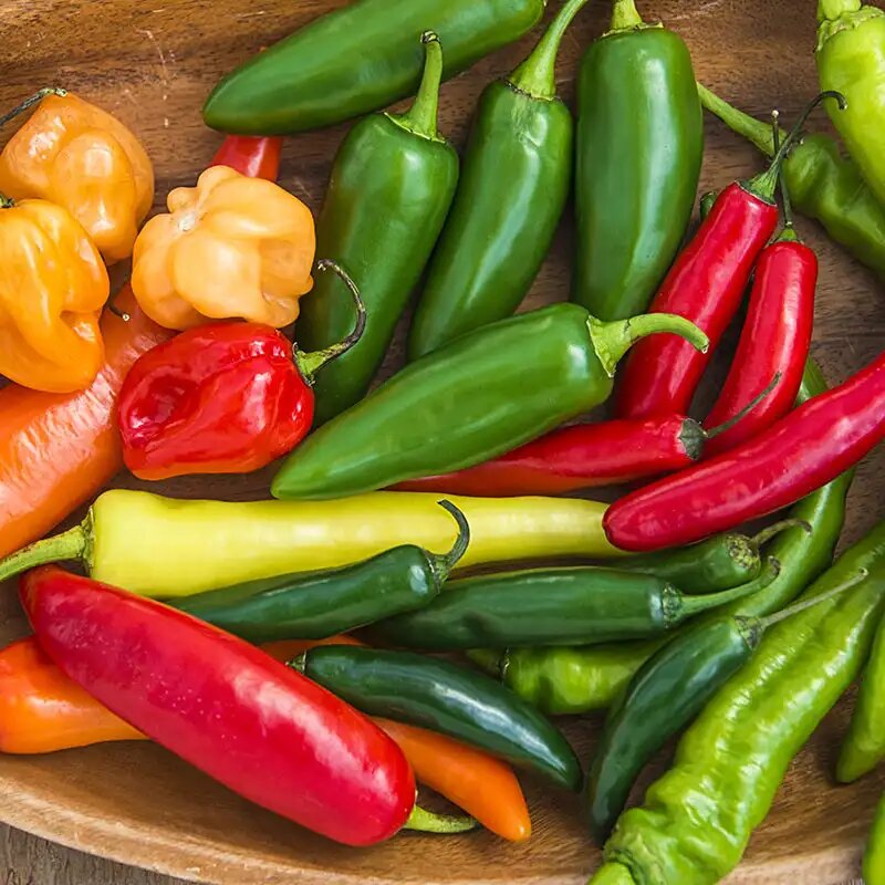 Peppers Vegetable Seeds