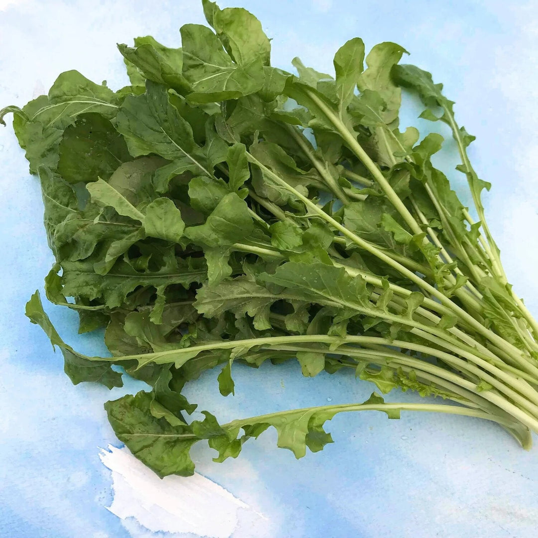 Arugula Vegetable Seeds