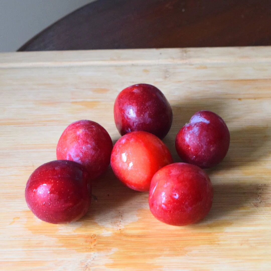 Plum fruit Seeds