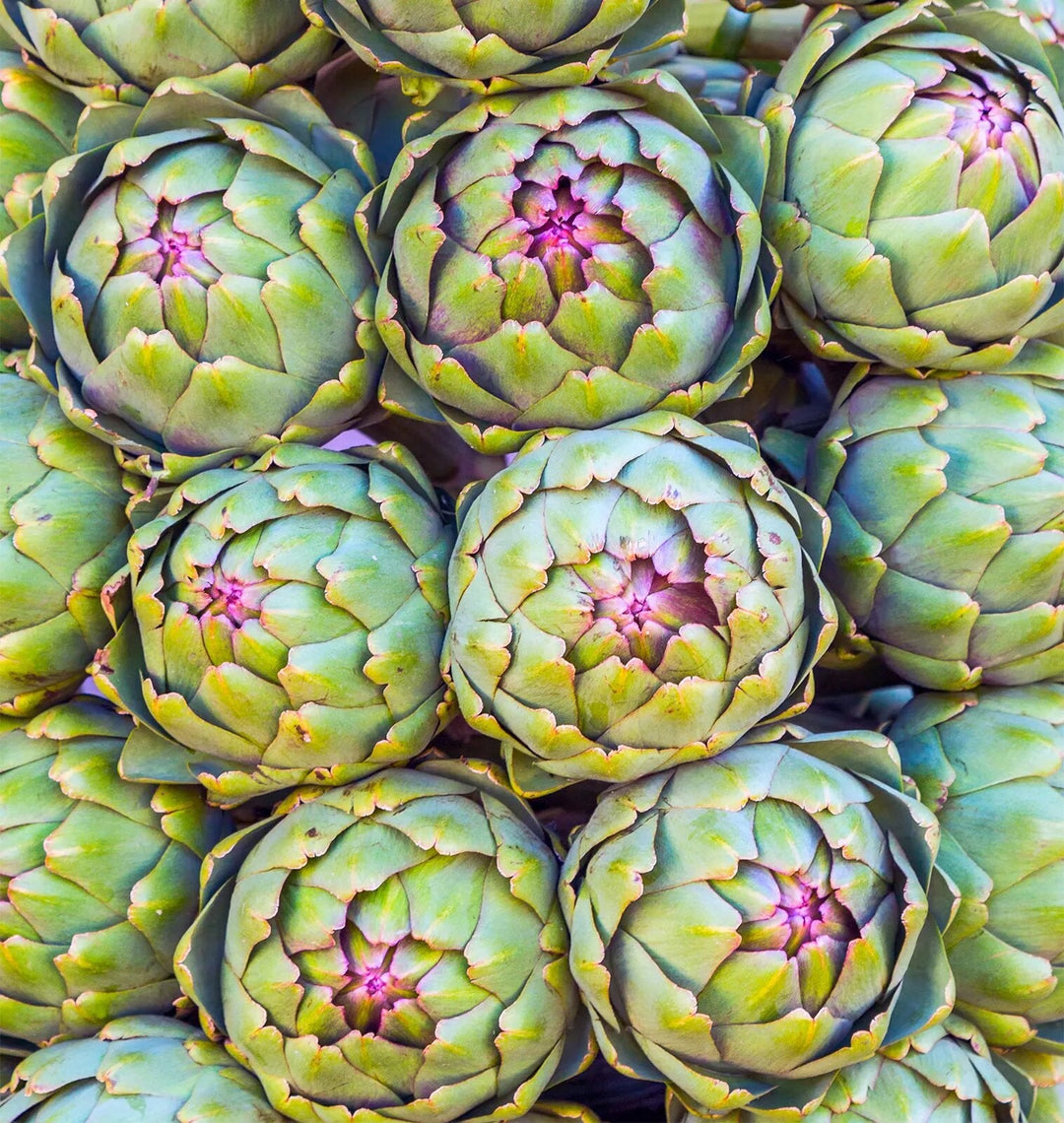 Artichoke vegetable seeds