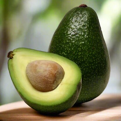 Avocado fruit Seeds