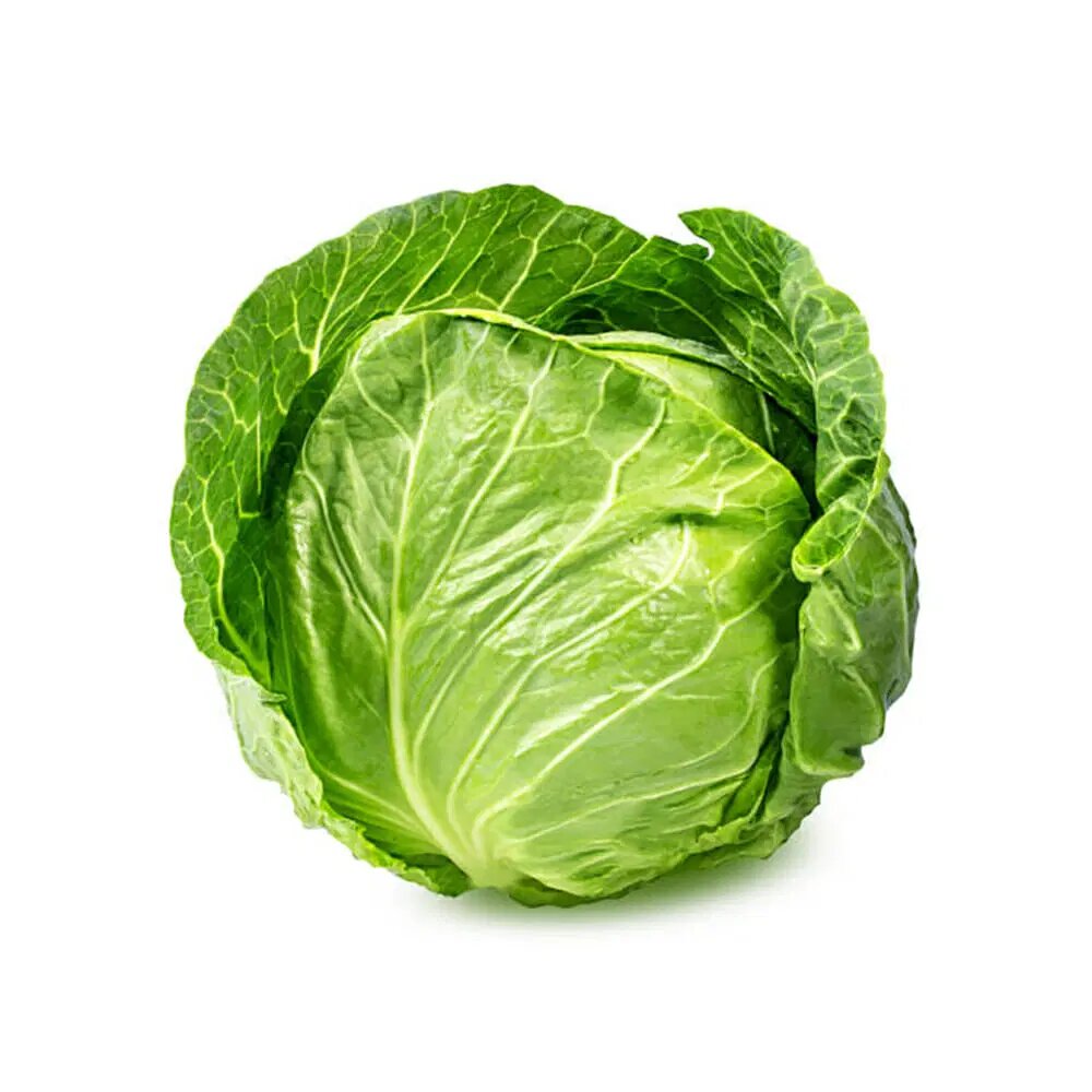 Cabbage Vegetable Seeds