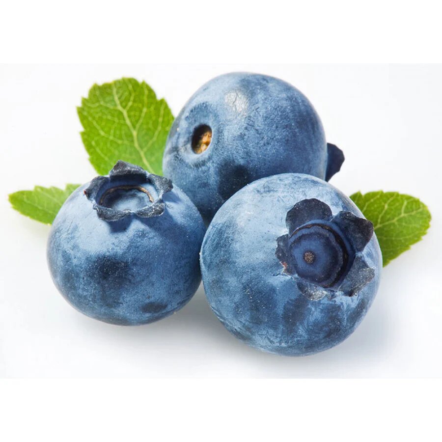 Blueberry fruit Seeds