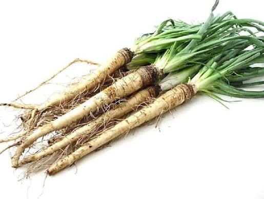 Salsify Vegetable Seeds