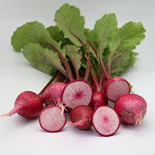 Turnip Vegetable Seeds