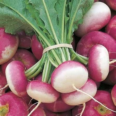 Rutabaga Vegetable Seeds