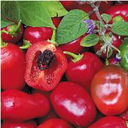 rocoto Vegetable Seeds