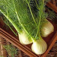 fennel seeds