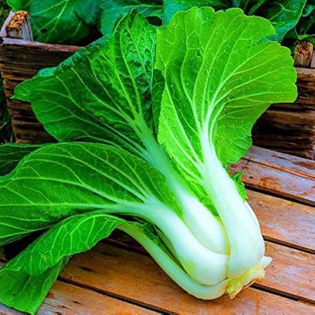 Bok Choy Vegetable Seeds