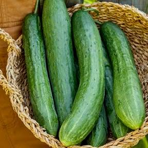 Cucumber Vegetable Seeds