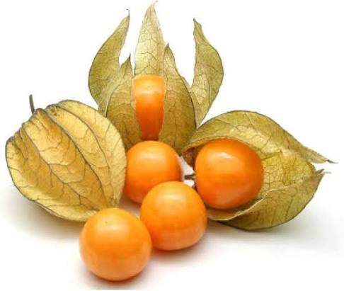 Gooseberry fruit seeds