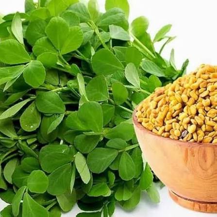 Fenugreek Herb seeds