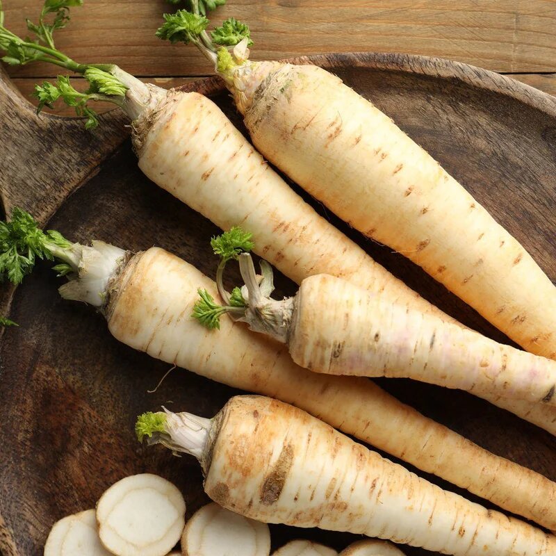 Parsnips Vegetable Seeds
