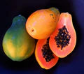 Sunrise Papaya (Strawberry Papaya) Fruit Seeds for Planting – Heirloom Non-GMO High Germination Organic Garden Seeds Sweet Tropical Fruit Seeds for Home Garden