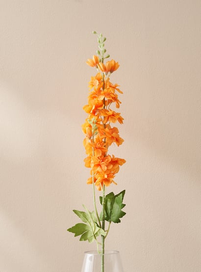 Orange Delphinium Flower Seeds – Heirloom, Non-GMO, High Germination Seeds