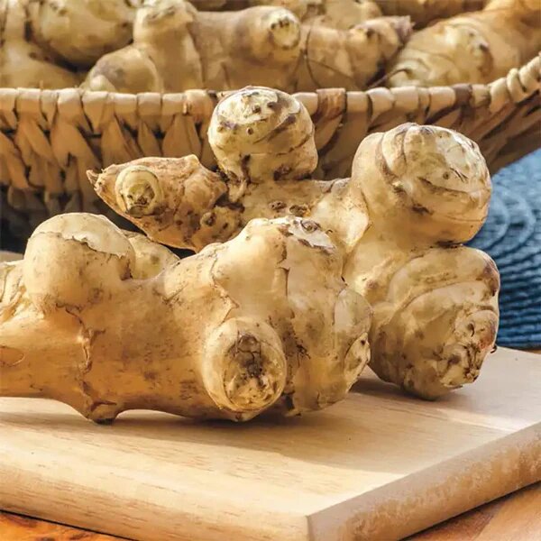 Jerusalem Artichoke Seeds – Unique Vegetable, Heirloom, Non-GMO, Organic Garden Seeds