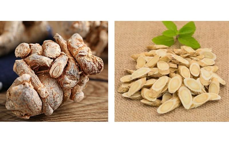 Panax Notoginseng herb seeds