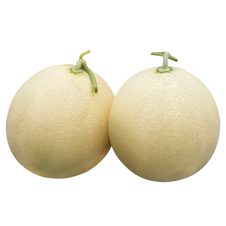 Cantaloupe Seeds White – Heirloom, Non-GMO, High Germination Organic Garden Seeds