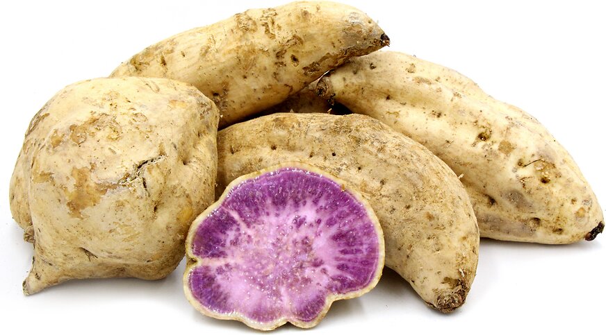 Okinawa Sweet Potato Seeds for Gardening – Heirloom, Non-GMO, High Germination Organic Garden Seeds