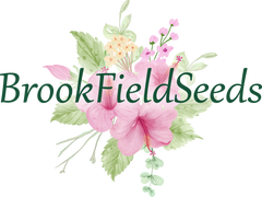 brookfieldseeds