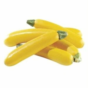 Yellow Zucchini Seeds for Planting – Heirloom, Non-GMO, Organic Vegetable Garden Seeds, High Germination Summer Squash