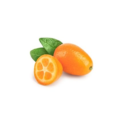 Orange Kumquat Seeds – Heirloom, Non-GMO, High Germination Organic Garden Seeds