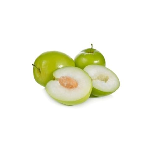 jujube tree heirloom non-gmo seeds
