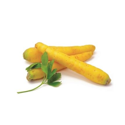 Yellow Carrot Seeds – Heirloom, Non-GMO, High Germination Organic Garden Seeds Planting