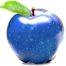 Blue Apple Fruit Seeds for Planting-Heirloom Non-GMO Seeds Organic Garden Seeds