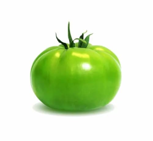 Grüne Tomatensamen – Alte Sorte, gentechnikfrei, keimstark, Bio-Gartensamen zum Anpflanzen