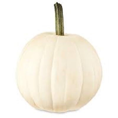 Pumpkin White Seeds – Heirloom, Non-GMO, High Germination Organic Garden Seeds Planting